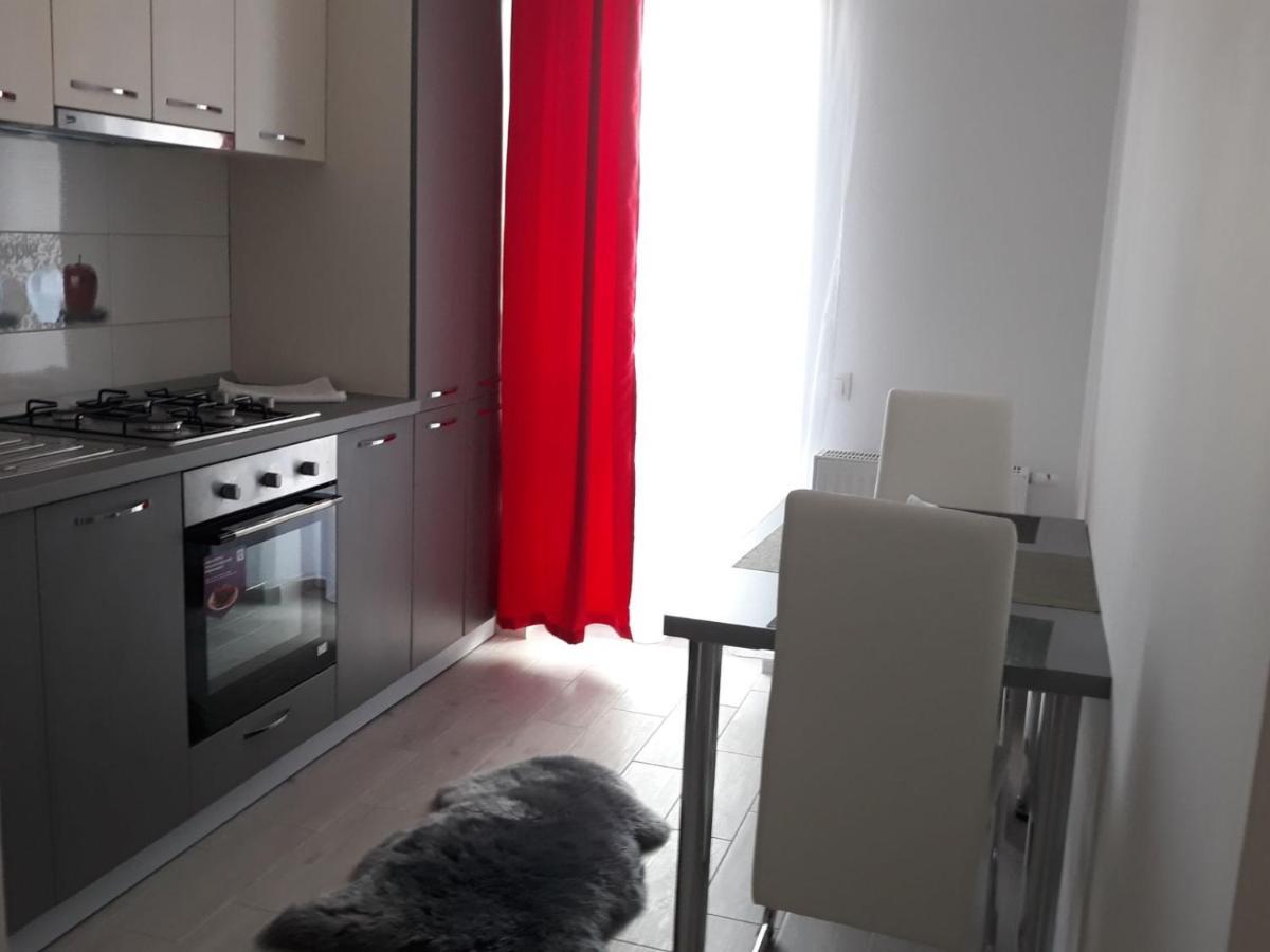 Apartament Avangarden Ema Verde Braşov Dış mekan fotoğraf